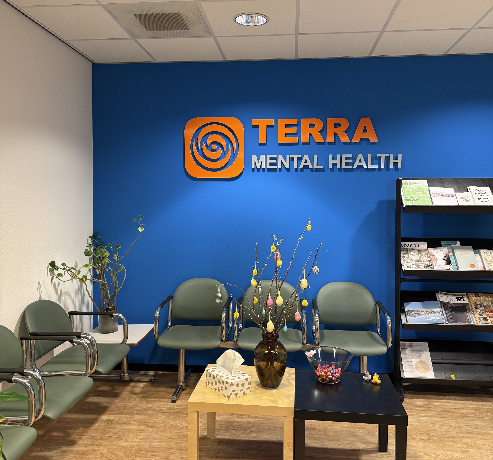 Terra Mental Health 1